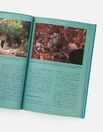 画像をギャラリービューアに読み込む, TRAIL LEARNING
